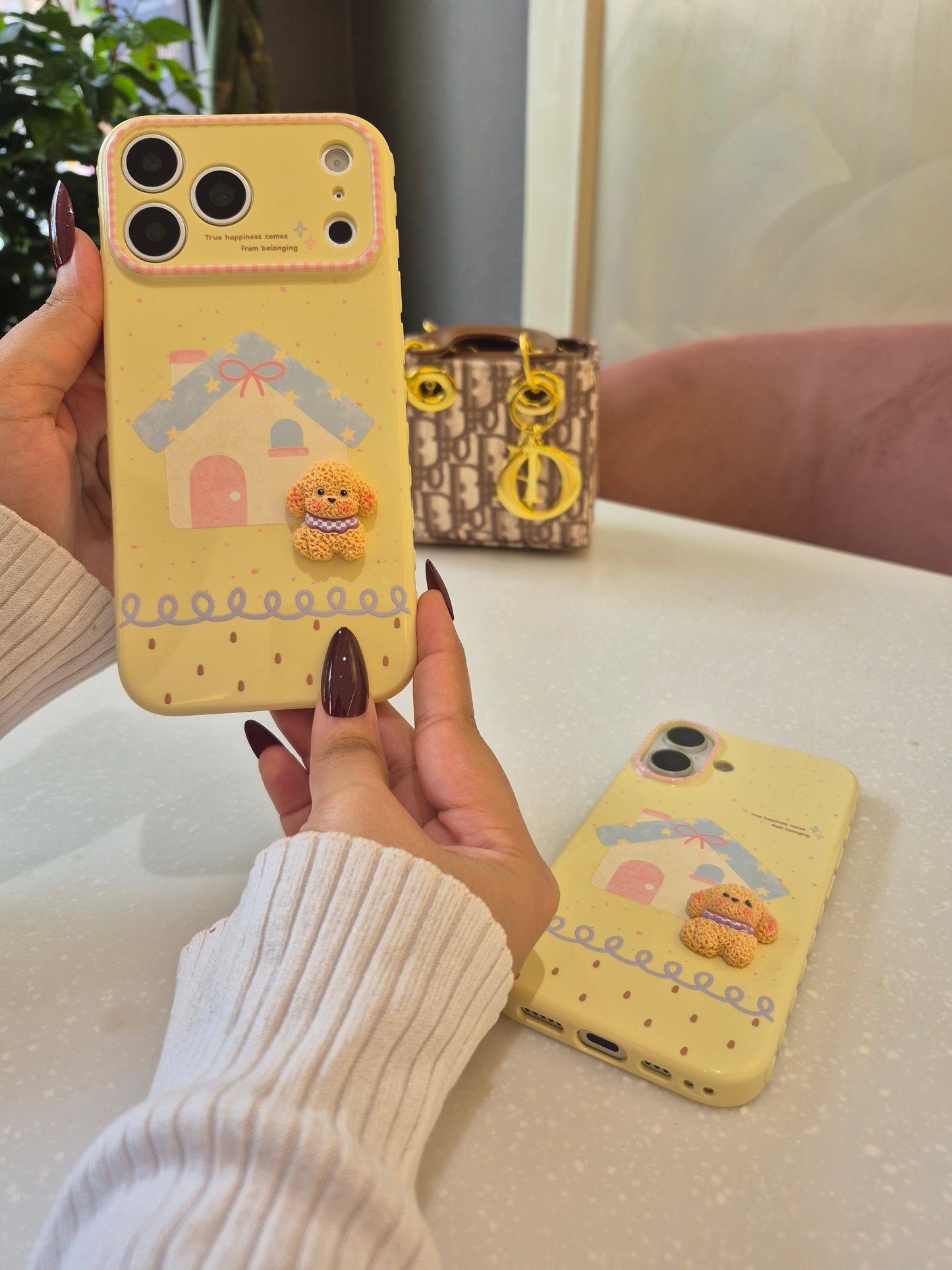 Tiny Puppy House Case